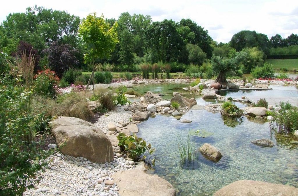 Piscine écologique ou naturelle : ce qu’il faut savoir !