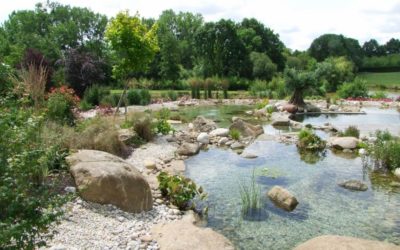 Piscine écologique ou naturelle : ce qu’il faut savoir !