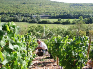 Un domaine exquis
